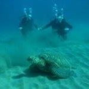 Meet your Posher, Joanna